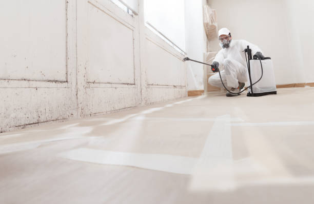 24/7 Emergency Mold Remediation experts in Fort George G Meade, MD